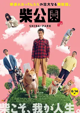 国产成人一区二区在线不卡