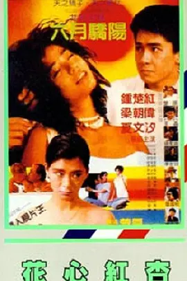 麻美由真番号