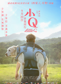 成人欧美