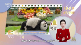 pornhub访问